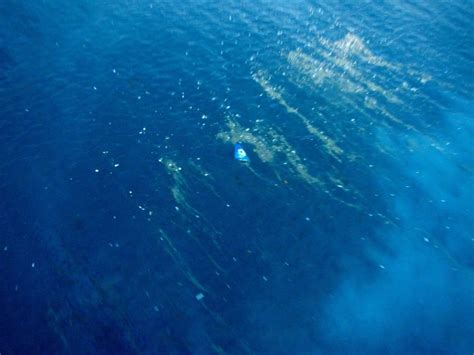 air new zealand flight 888|Painted into a Corner: The crash of XL Airways .